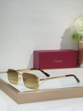 Mens Sunglasses Polarized Cartier CT0685S