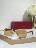 Best polarized sunglasses Cartier CT0609S
