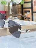 Best polarized sunglasses Cartier CT0609S