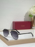 Cartier Men sunglasses CT0686S