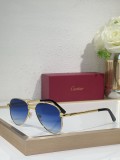 Cartier Men sunglasses CT0686S
