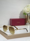 Cartier Men sunglasses CT0686S