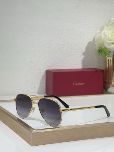 Cartier Men sunglasses CT0686S