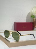 Cartier Men sunglasses CT0686S