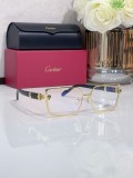 Cartier Optical outlets Wood CT0886S