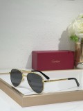 Cartier Men sunglasses CT0686S