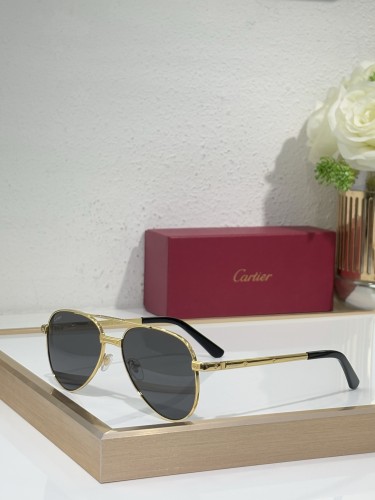 Cartier Men sunglasses CT0686S