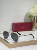 Cartier Men sunglasses CT0686S