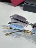 Fish with sunglasses Cartier CT0929S
