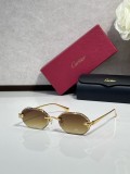 Fish with sunglasses Cartier CT0929S