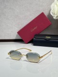 Fish with sunglasses Cartier CT0929S