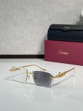 Shop Eyeglasses For Men Cartier CT01821O