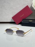 Fish with sunglasses Cartier CT0929S