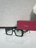 Cartier Vintage sunglasses CT0896s