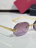 Fish with sunglasses Cartier CT0929S