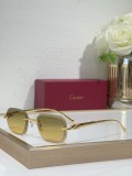 Cartier Men's Sunglasses CT06224J