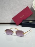 Fish with sunglasses Cartier CT0929S