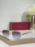 Cartier Men's Sunglasses CT06224J