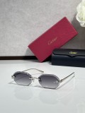 Fish with sunglasses Cartier CT0929S