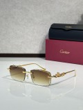 Shop Eyeglasses For Men Cartier CT01821O
