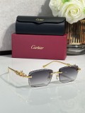 Shop Eyeglasses For Men Cartier CT01821O