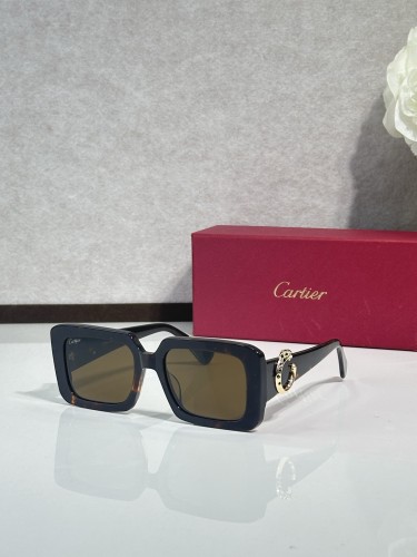 Cartier Vintage sunglasses CT0896s