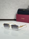 Shop Eyeglasses For Men Cartier CT01821O