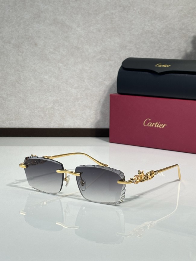 Shop Eyeglasses For Men Cartier CT01821O