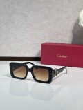 Cartier Vintage sunglasses CT0896s