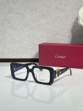 Cartier Vintage sunglasses CT0896s