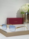 Cartier Men's Sunglasses CT06224J