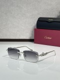 Shop Eyeglasses For Men Cartier CT01821O