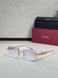 Shop Eyeglasses For Men Cartier CT01821O