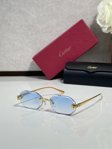 Fish with sunglasses Cartier CT0929S