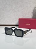 Cartier Vintage sunglasses CT0896s