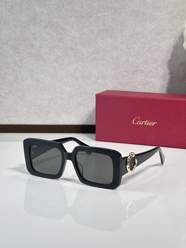 Cartier Vintage sunglasses CT0896s