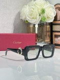 Cartier Vintage sunglasses CT0896s