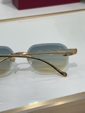 Cartier Men's Sunglasses CT06224J