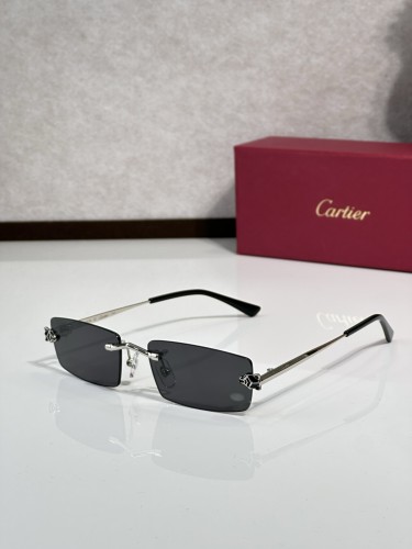 TITANIUM sunglasses Cartier CT0598S