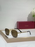 Buy designer sunglasses Cartier CT0459S
