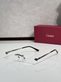 TITANIUM sunglasses Cartier CT0598S