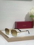 Buy designer sunglasses Cartier CT0459S