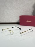 TITANIUM sunglasses Cartier CT0598S