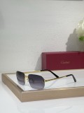 Cartier Designer Sunglasses For Men CT0460S