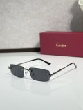TITANIUM sunglasses Cartier CT0598S