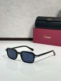 Cartier Titanium Sunglasses CT0539S