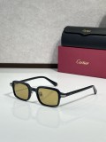 Cartier Titanium Sunglasses CT0539S