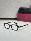 Cartier Titanium Sunglasses CT0539S