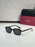 Cartier Titanium Sunglasses CT0539S