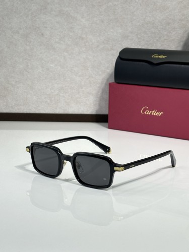 Cartier Titanium Sunglasses CT0539S